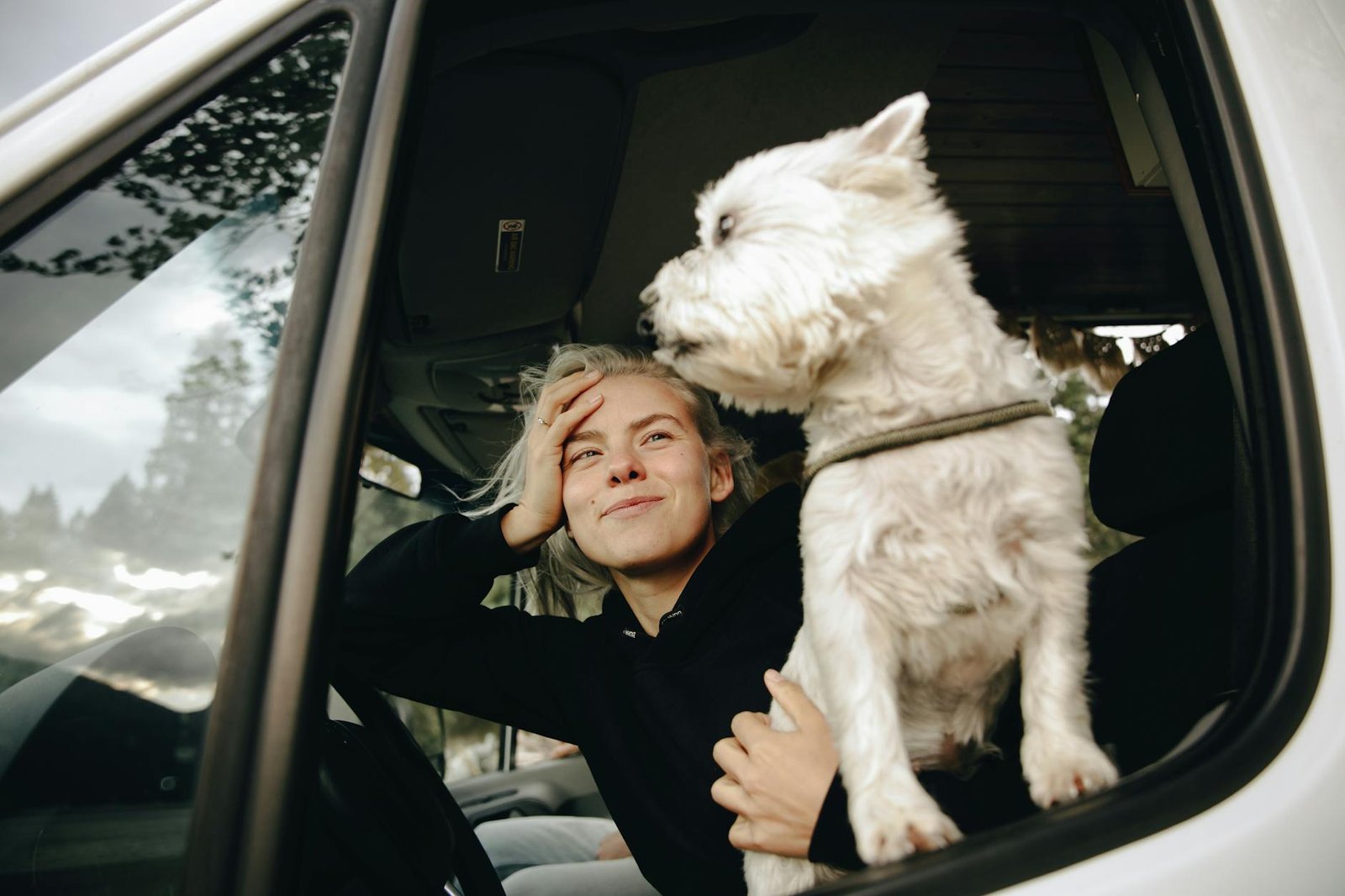 A woman with a dog in a car